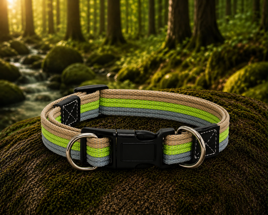 Forest Trail Dog Collar